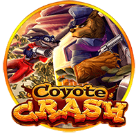 Coyote Crash